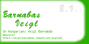 barnabas veigl business card