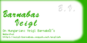 barnabas veigl business card